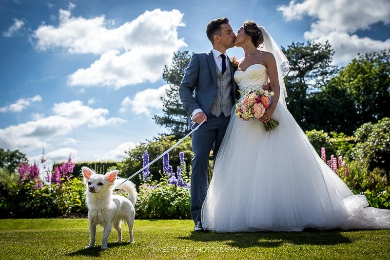 bride groom and their dog