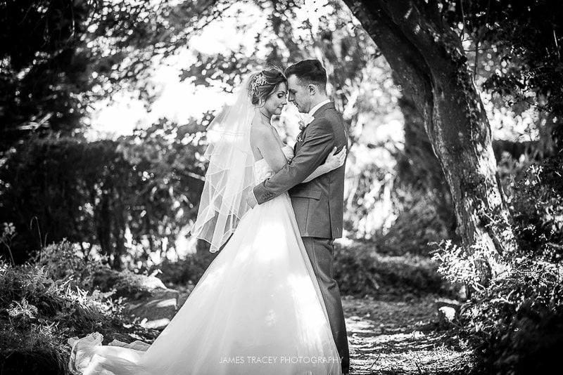 wedding couple in trees