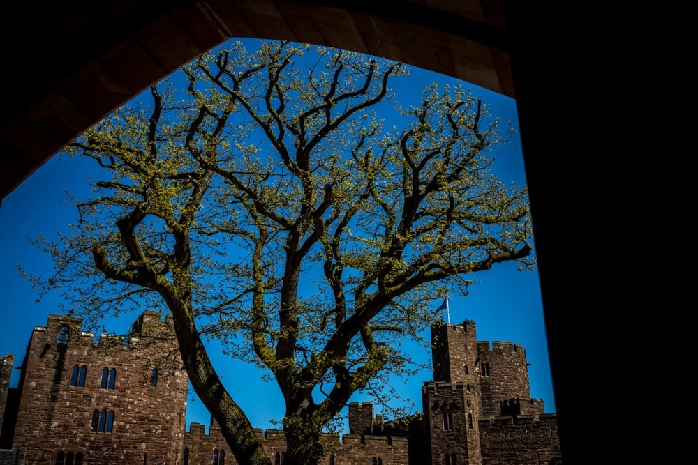 Peckforton Castle in the sun