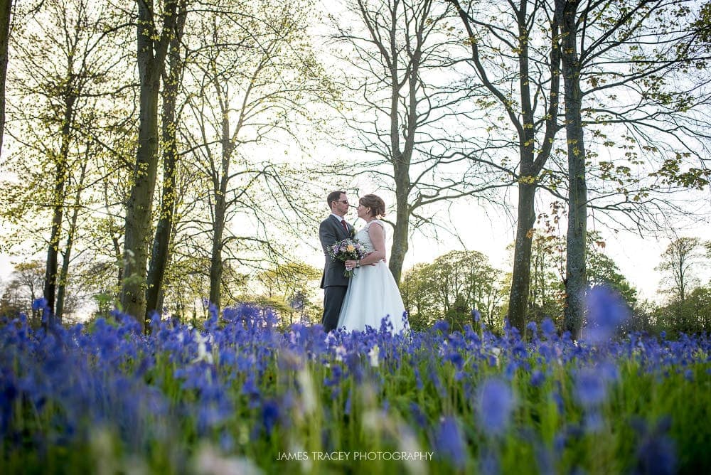 bride and groom in bluebells